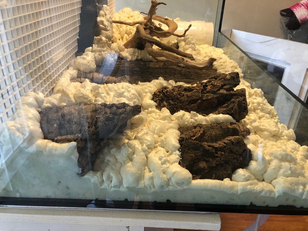 Dave's 130g Vivarium build... Dendroboard